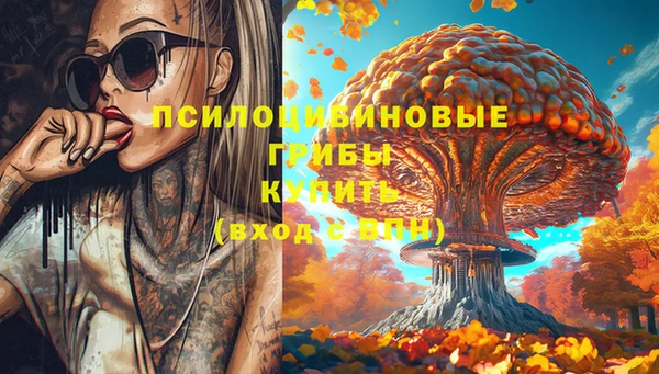 apvp Баксан