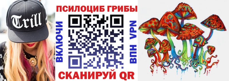 Галлюциногенные грибы Psilocybe  что такое   Соль-Илецк 